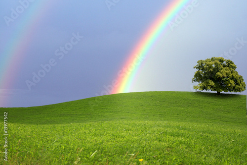 Regenbogen photo