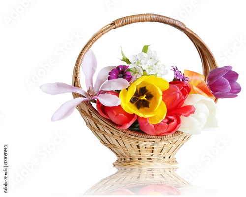 Fototapeta Naklejka Na Ścianę i Meble -  Basket of flowers
