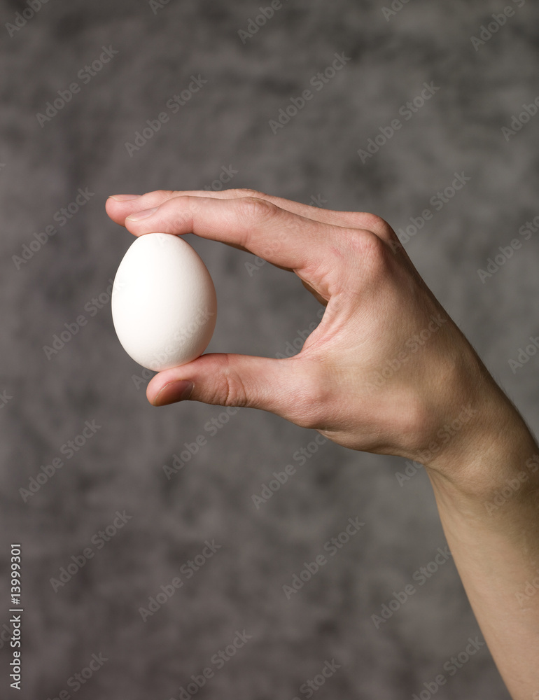 Hand holding an egg Hand holding an egg