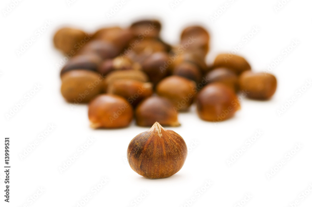 Many chestnuts isolated on the white background Many chestnuts isolated on the white background