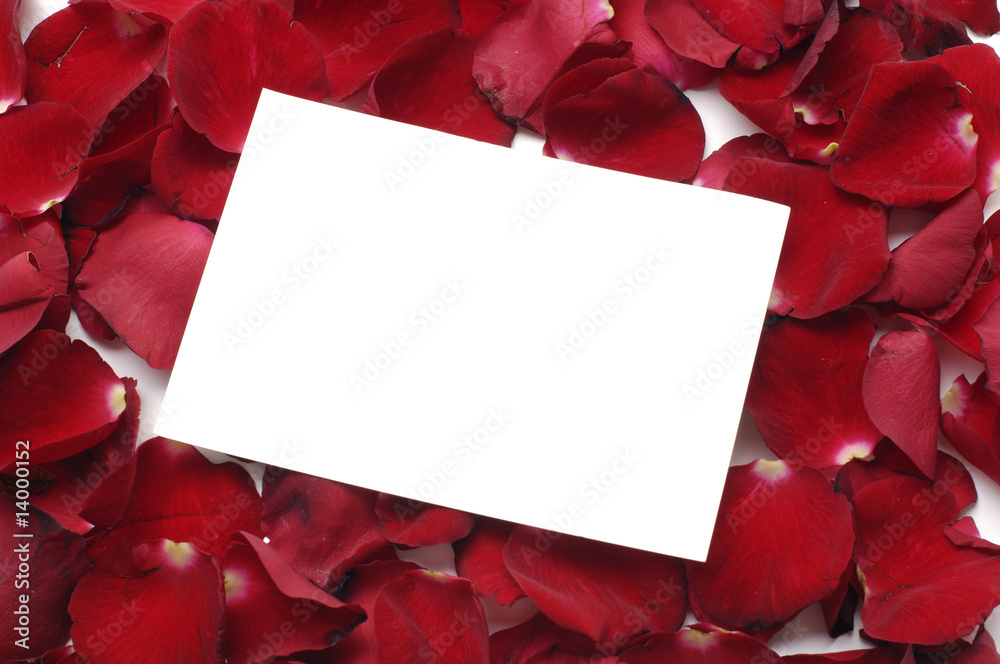 blank white gift card in bed of roses petals