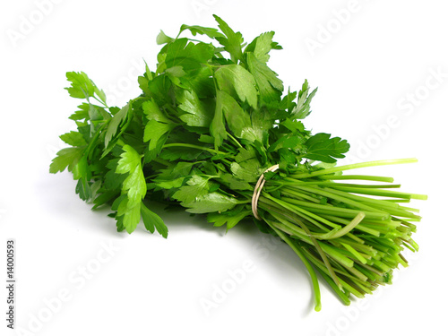Bouquet of parsley on white background.