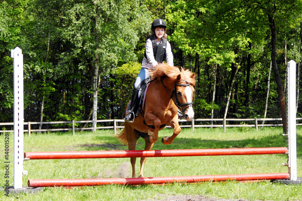 Pony beim Springen Pony beim Springen
