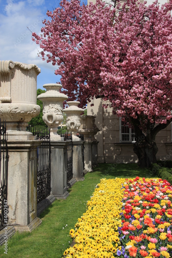 Obraz premium mirabellgarten in salzburg