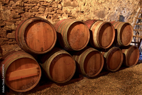 Weinfässer, Holzfässer, Weinkeller, Languedoc Roussilion #14004974