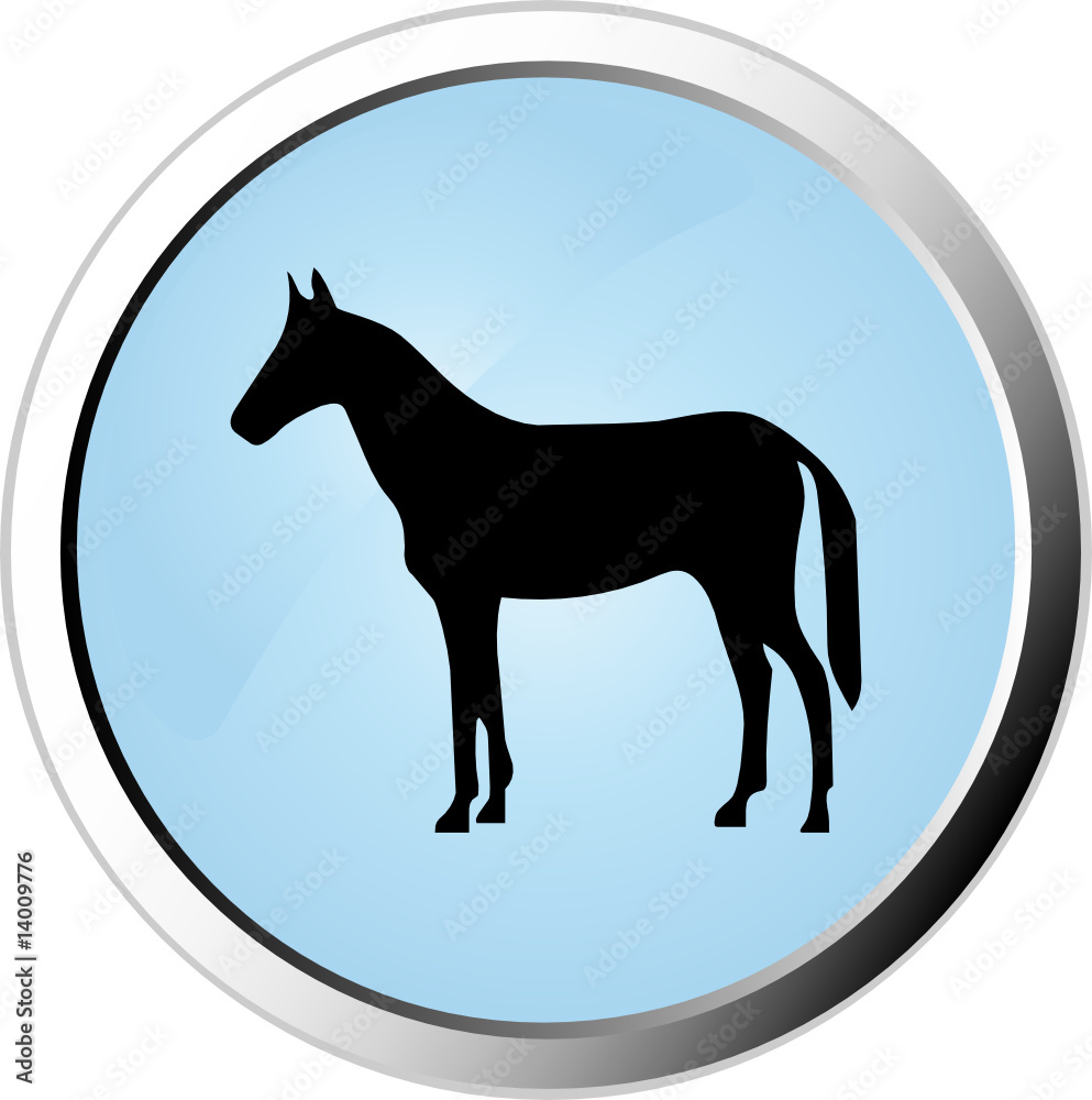 Obraz premium Horse web button