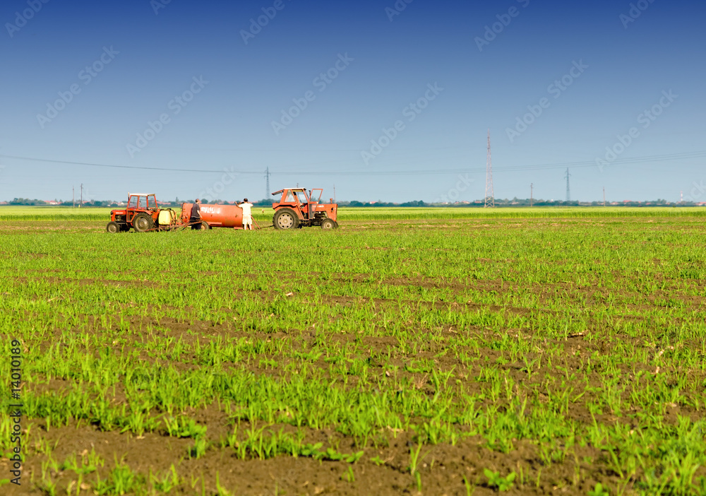 agriculture agriculture