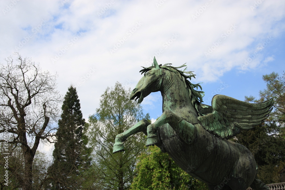 Fototapeta premium pegasus