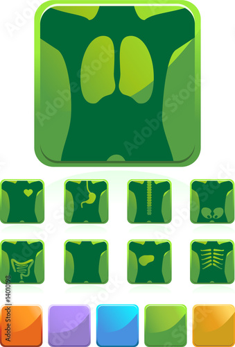 X-Ray Icon Button Set