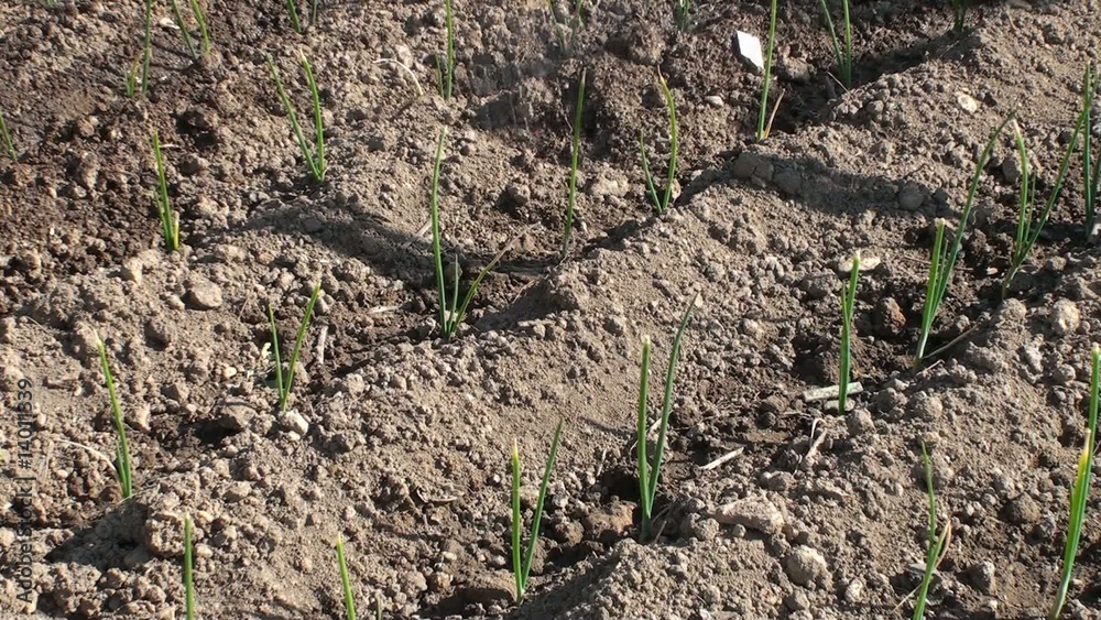 agriculture bio agriculture bio