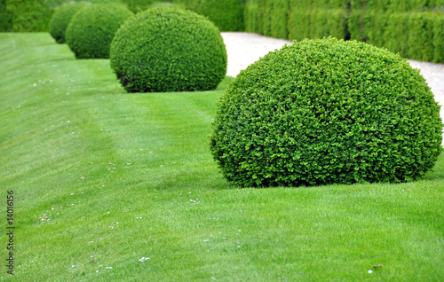 jardin