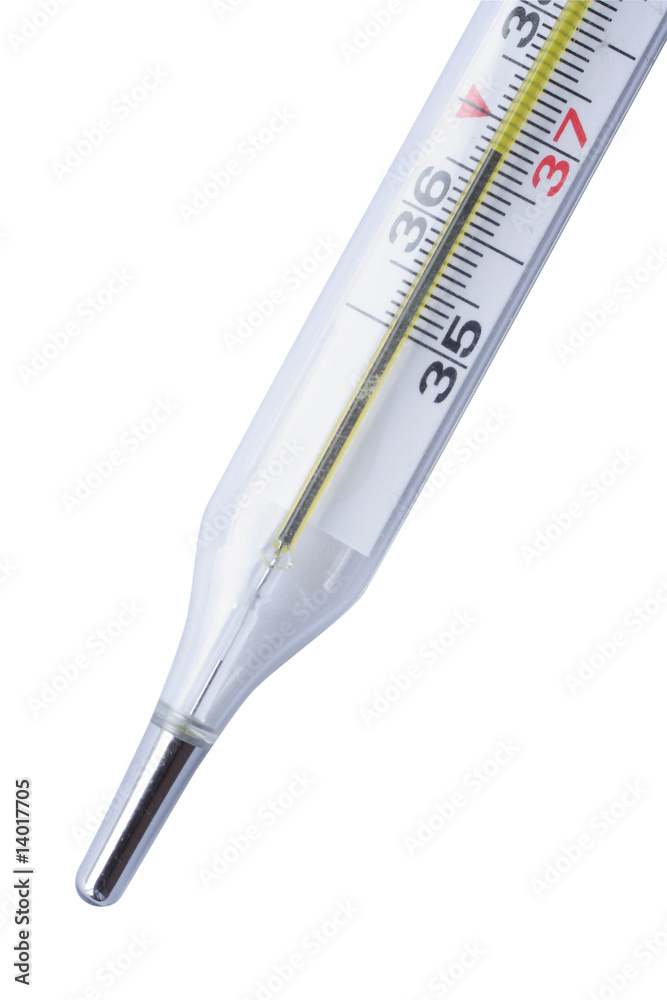 thermometer thermometer