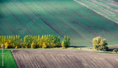 Принти на полотні Herbst