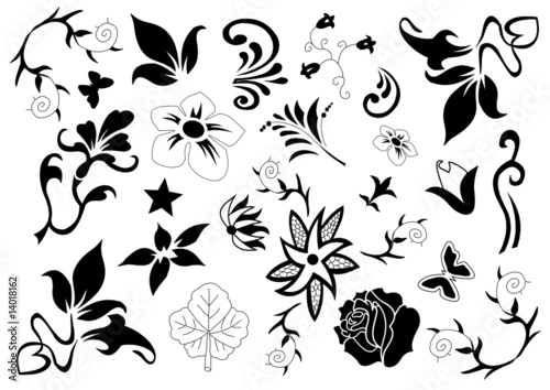 Florale Muster und Designs photo