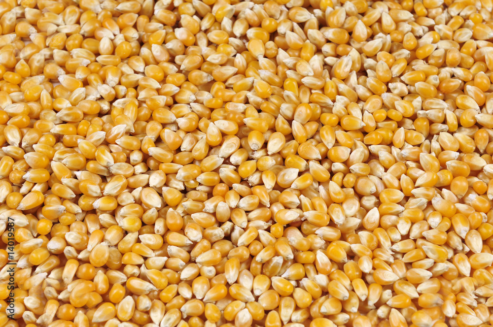 corn