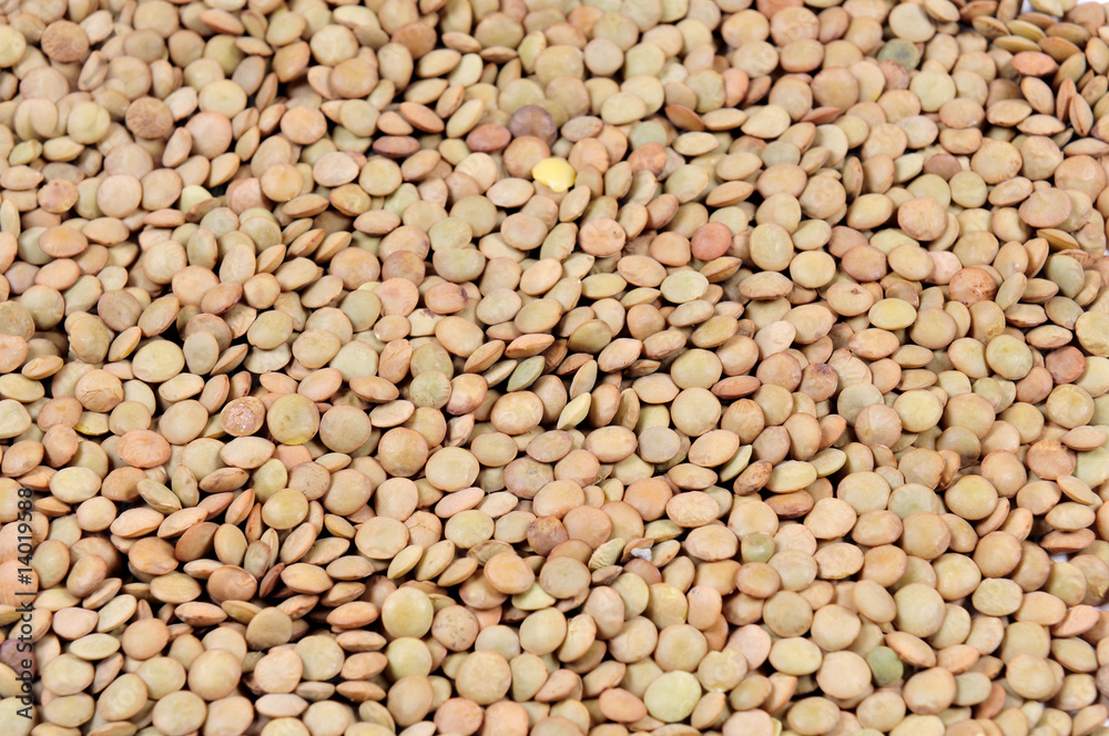 lentils lentils