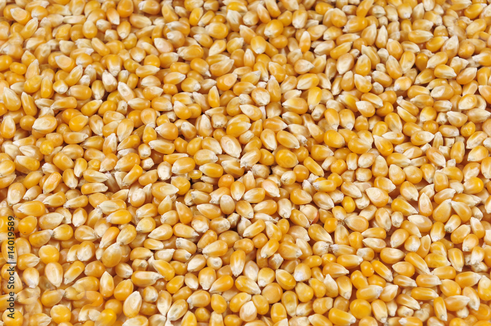 pop corn pop corn