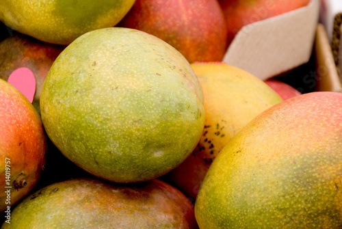 Mango