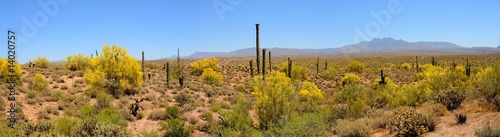 Slika na platnu Desert Mountains Panorama