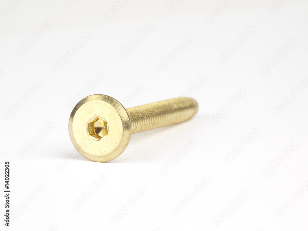Screw Screw