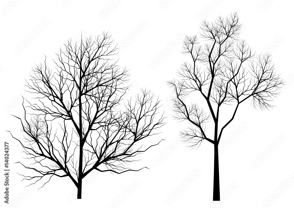 Obraz premium Silhouettes d'arbres (série 1)