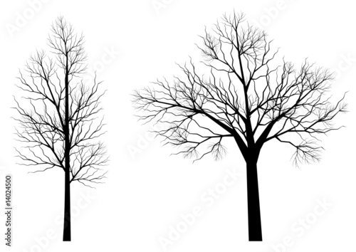 Silhouettes d'arbres (série 3)