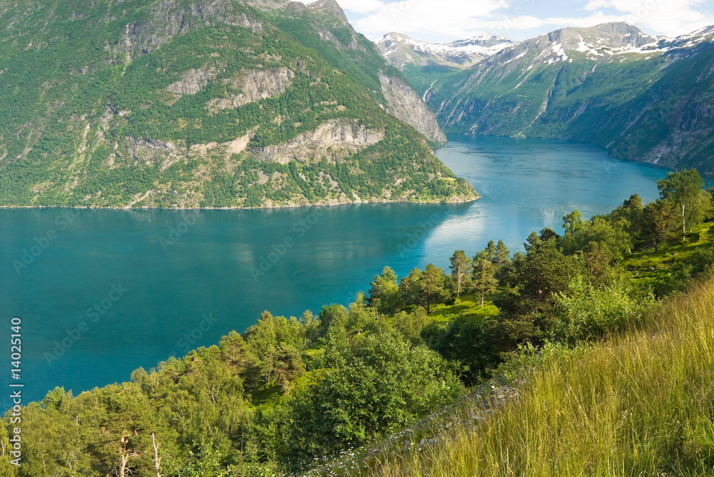 Awesome summer fjord