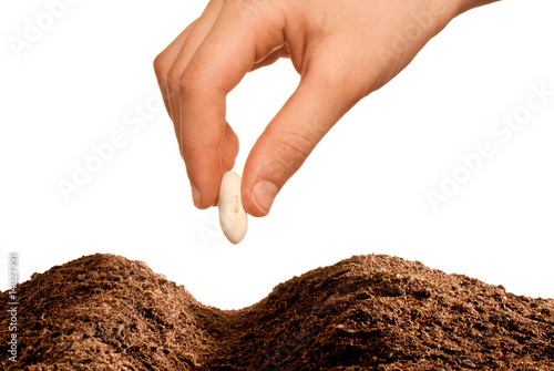 hand seeding