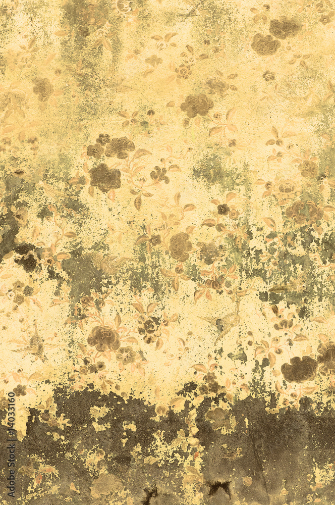 Obraz premium grunge floral background with space for text or image