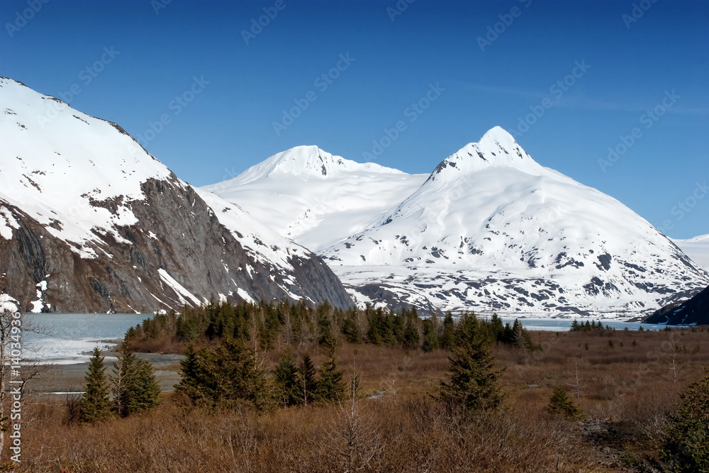Fototapeta premium Snowy mountains