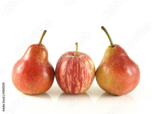 Pears and apple in a raw on isolated background.