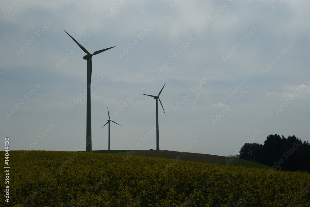 Obraz premium Windpark