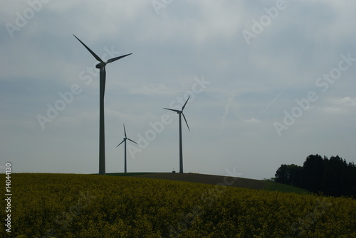 Windpark