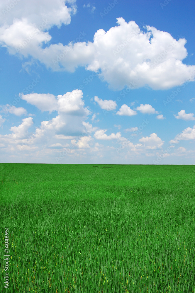 green field