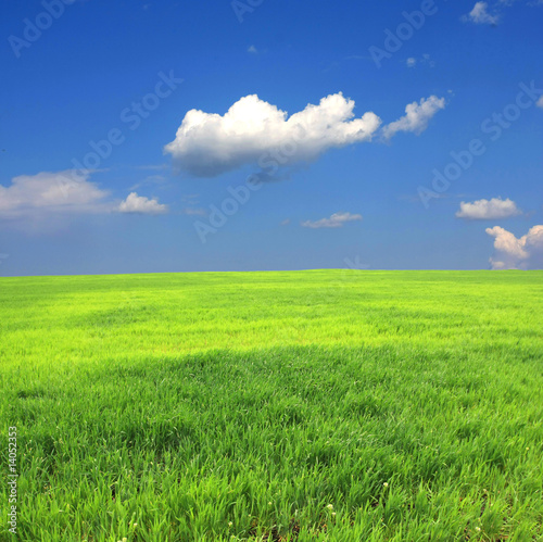 Green field and clouds in sky