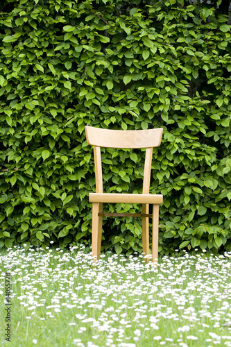 Holzstuhl vor Buchenhecke