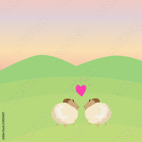loving sheeps