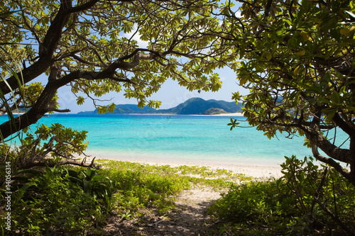 Fototapeta Naklejka Na Ścianę i Meble -  Path from jungle to paradise beach in Okinawa