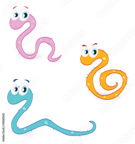 Garden worm set