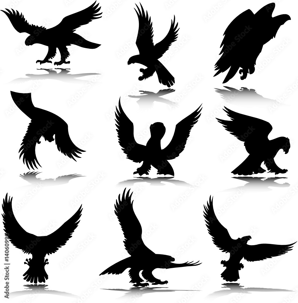 Obraz premium eagle in action illustration