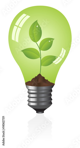 Light bulb with a plant. Vector illustration.