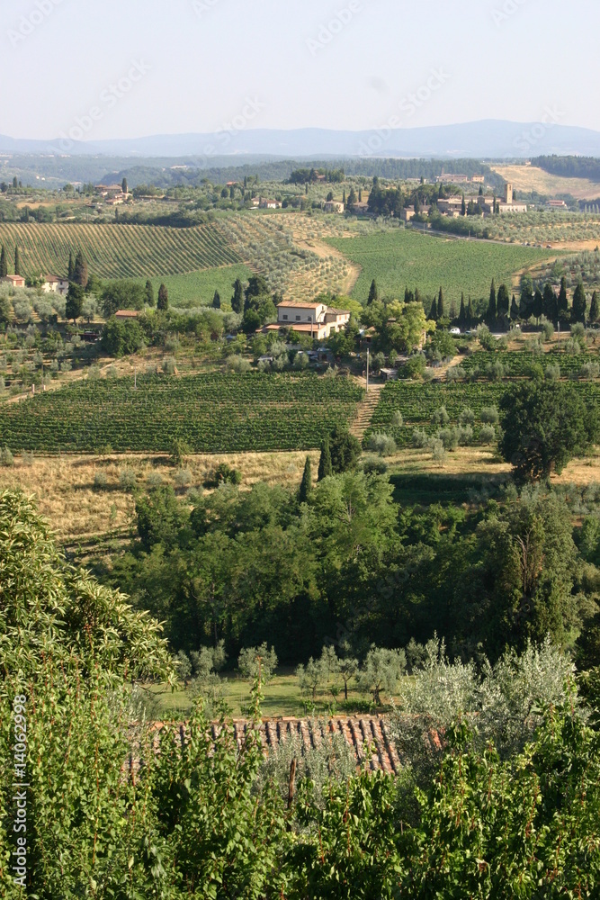 Toskana - Landschaft bei San Gimignano
