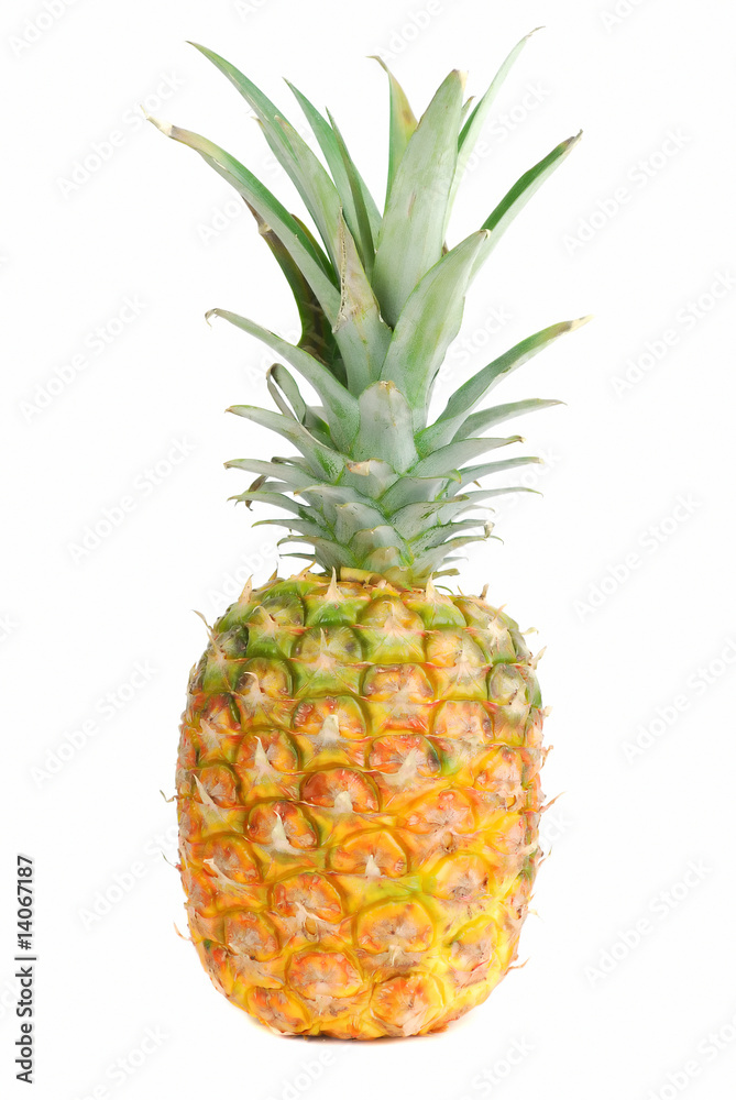 Pineapple fruit. Pineapple fruit.