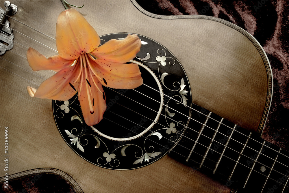 Obraz premium Nostalgia with vintage guitar and lily