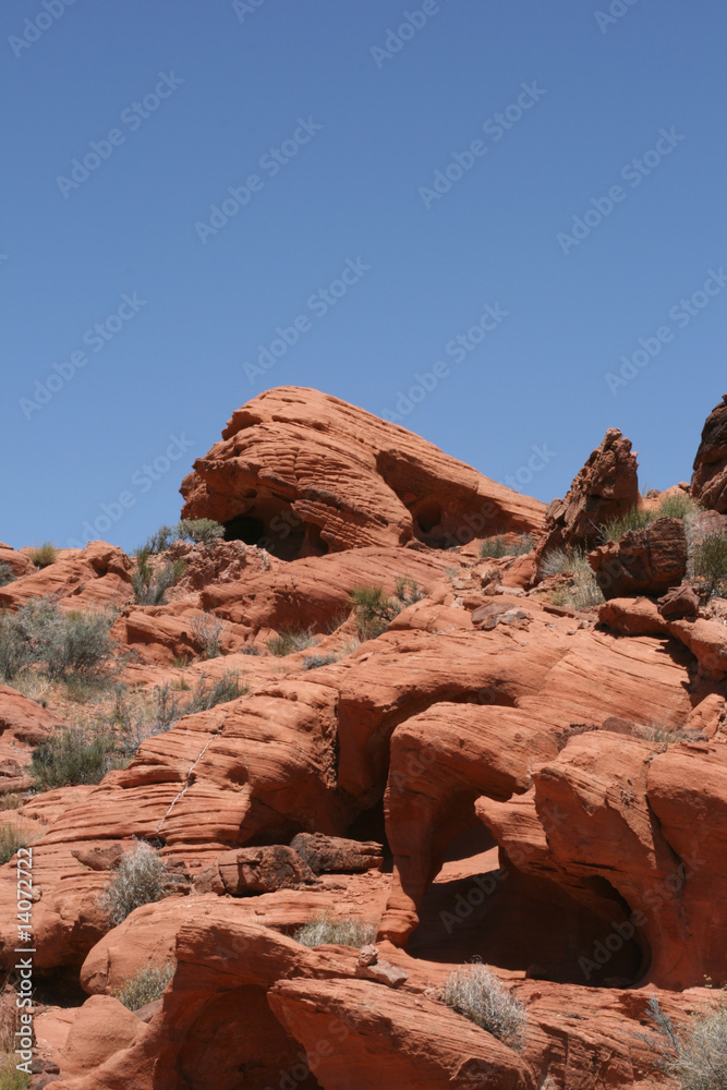 Fototapeta premium Valley of Fire, Nevada