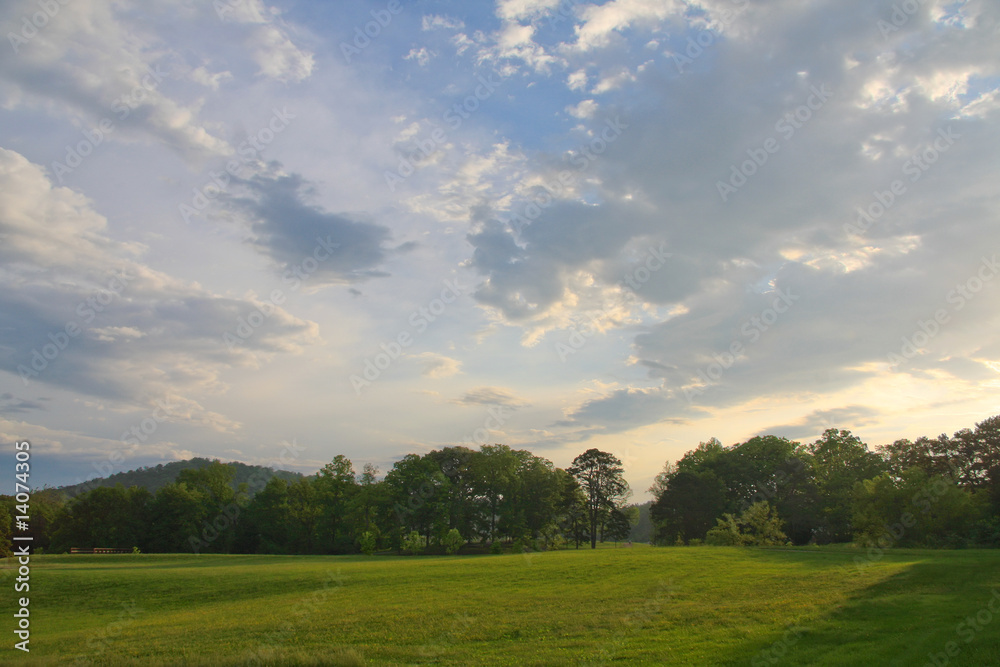 Rural Scene