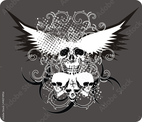 skull grey with wings