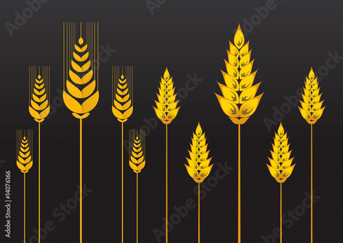 Wheat