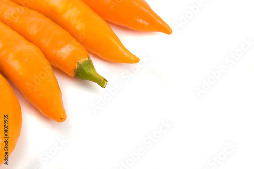 chilli peppers on white backgroun © elnavegante