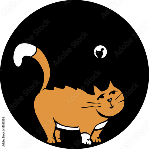 Cat in Pipe